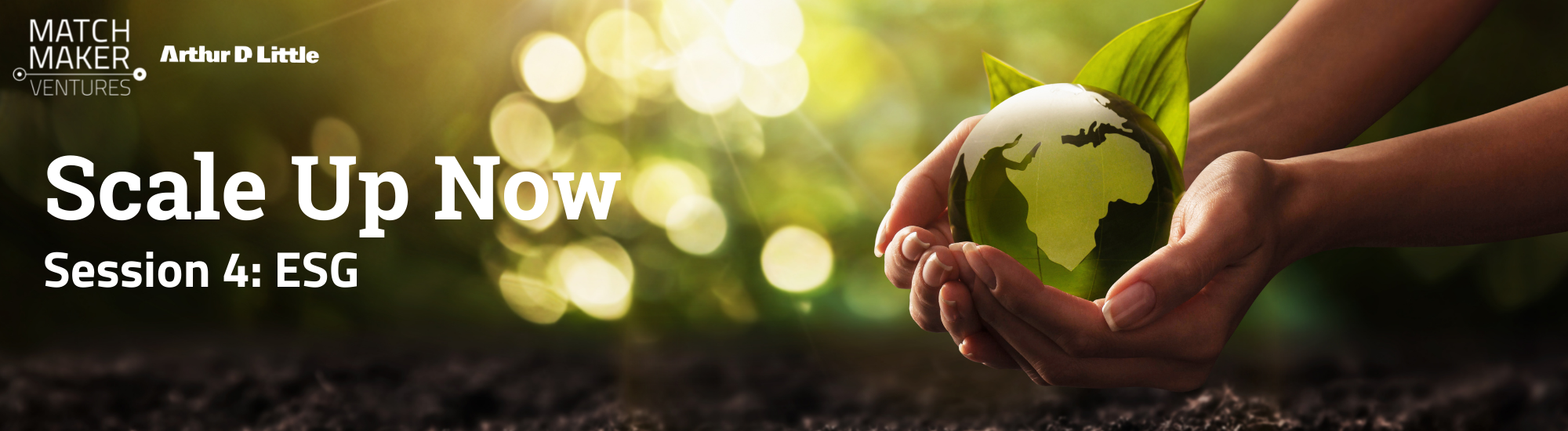 Webinar introduction ESG banner